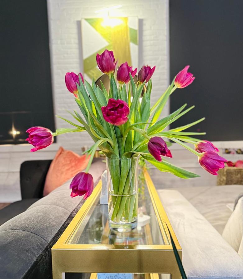2Br 2Br Le Chateau 505 Lux Penthouse In A Historic Building 尤蒂卡 外观 照片